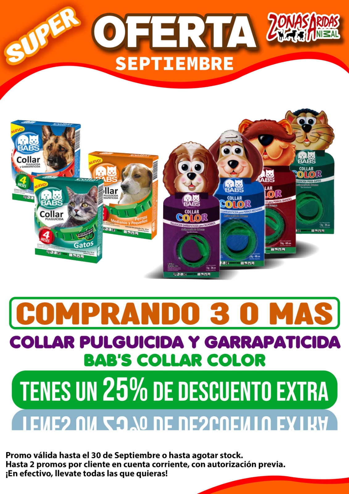 Zonas Áridas - Imagen 12